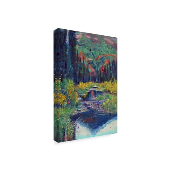 David Lloyd Glover 'A Raindrop Pond' Canvas Art,12x19